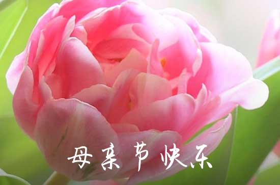 幼儿园母亲节祝福语110句