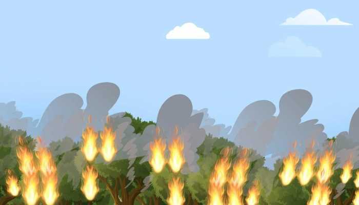 法国南部再度发生山火面积约950公顷 当地官方：山火提前到来与气候变化相关