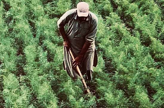 最新五一劳动节句子 关于五一劳动节说说