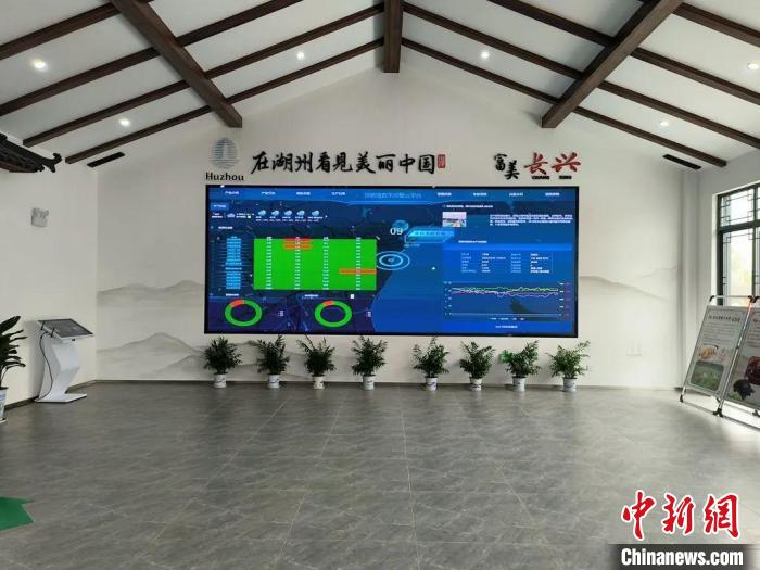 洪桥镇数字化渔业才智渠道 王姣 摄