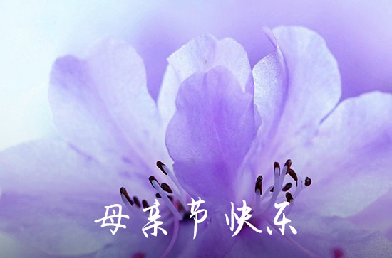 母亲节祝福语简短独特100句 母亲节祝福语简短独特100句