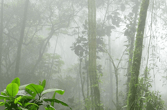 谷雨节气高级唯美句子80句