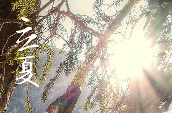 立夏句子短句唯美