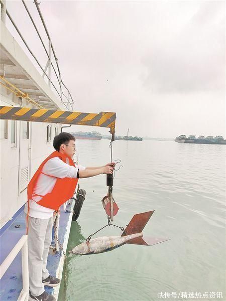 广西全力筑牢防汛安全屏障 广西全力筑牢防汛安全屏障