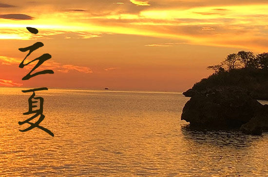 立夏时节文艺治愈句子