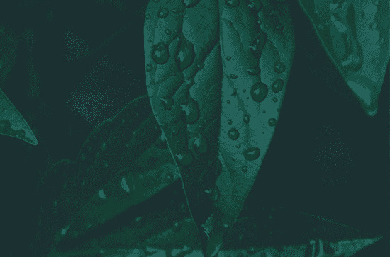 形容谷雨节气高级治愈句子80句 形容谷雨节气高级治愈句子80句