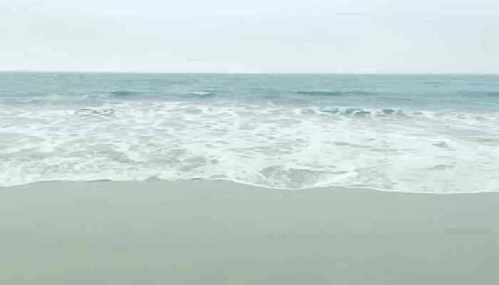 取个静心的网名 静心最高境界的网名