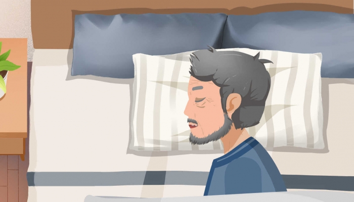 乳胶枕品牌排行榜 乳胶枕十大排行品牌大全