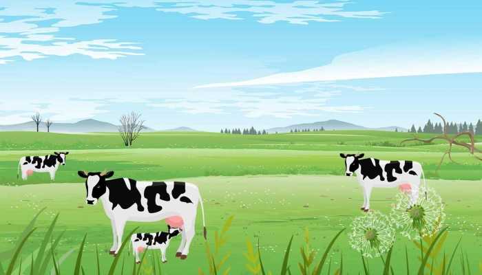 五一打算去哪座城市打卡 五一这些冷门城市也不错