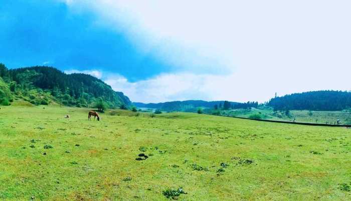 五一打算去哪座城市打卡 五一这些冷门城市也不错
