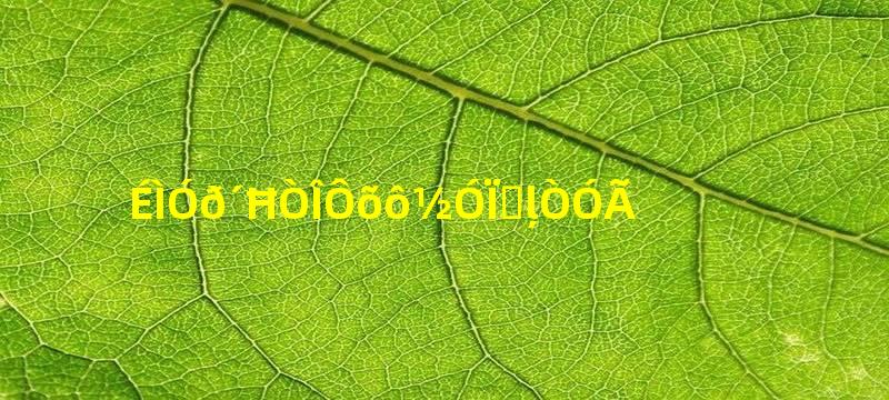 商用按摩椅怎么接线改家用