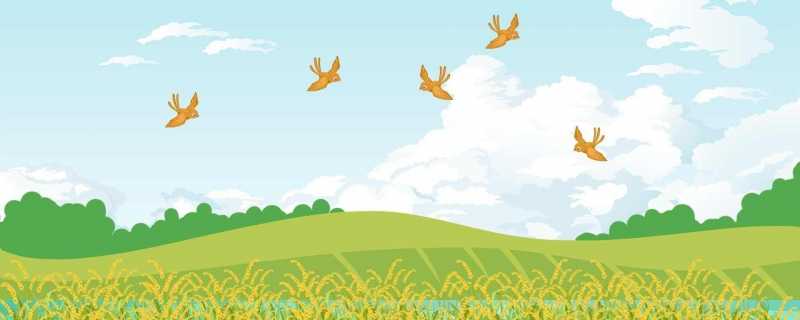 抖音最火的网名女生版 抖音网名大全女全网最火