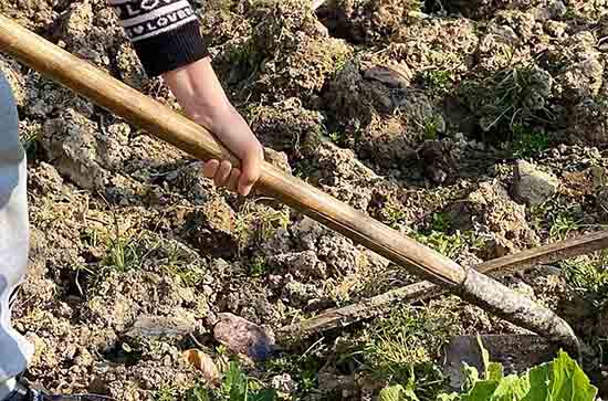 2023年五一高速公路免费吗 2023五一高速免费时间 2023年五一高速公路免费吗 2023五一高速免费时间