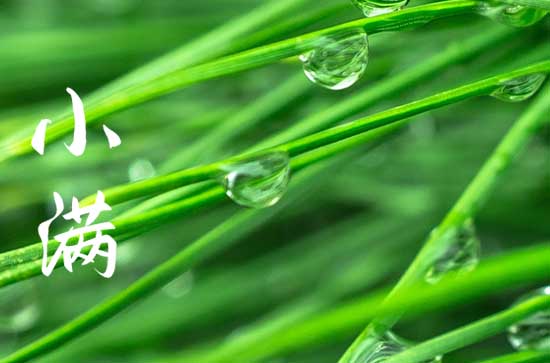 2023年小满日是哪一天 距离2023年小满还有多少天 2023年小满日是哪一天 距离2023年小满还有多少天