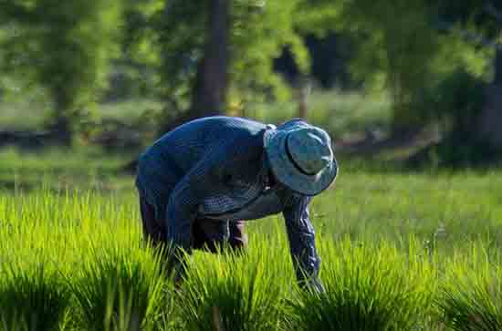 五一放假2023高速免费时间 2023五一假期高速免费时间介绍