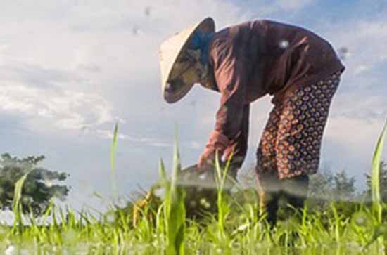 2023庆祝五一劳动节晚会主持词 2023年迎五一劳动节主持词范文