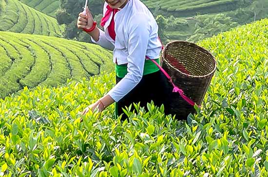 2023五一劳动节高速公路免费吗 2023五一高速公路免费时间 2023五一劳动节高速公路免费吗 2023五一高速公路免费时间