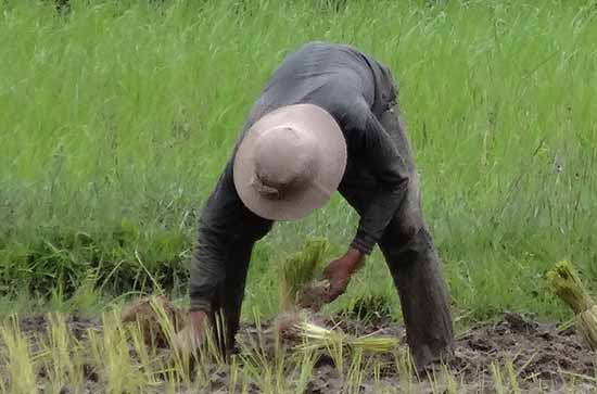 五一劳动节可以办身份证吗 办身份证需要什么证件和材料 五一劳动节可以办身份证吗 办身份证需要什么证件和材料