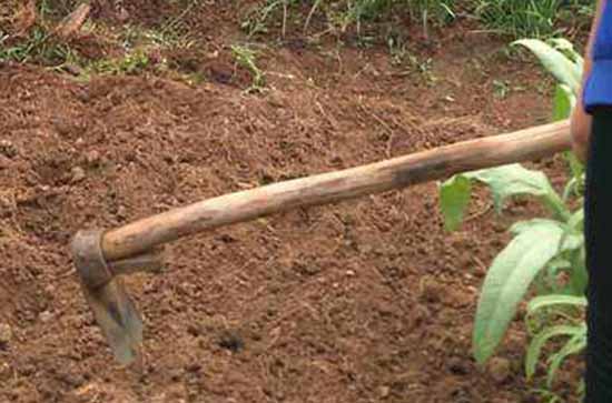 2023五一国际劳动节口号大全 2023年纪念五一节口号