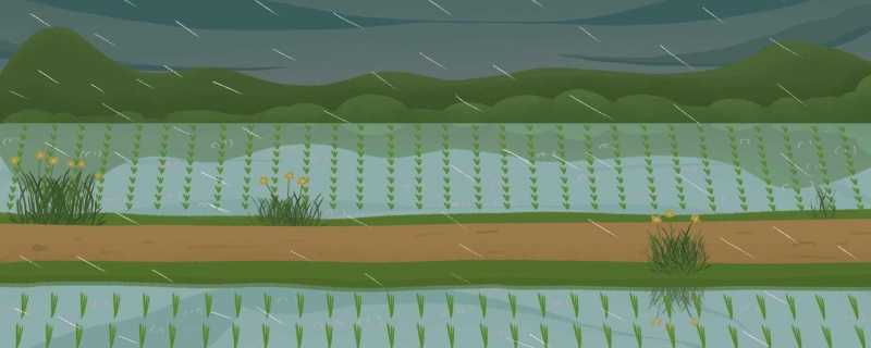 全国累计超10亿亩的高标准农田 高标准农田高在哪儿