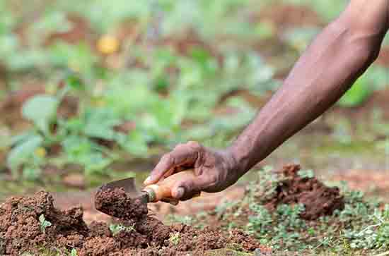 2023五一法定假日放假安排通知 2023年五一放假安排时间 2023五一法定假日放假安排通知 2023年五一放假安排时间