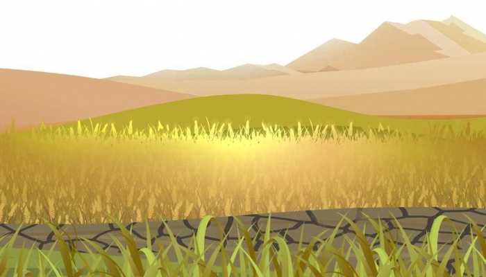 全国累计超10亿亩的高标准农田 高标准农田高在哪儿