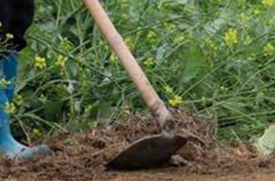 2023庆祝五一劳动节标语大全 2023年五一劳动节活动标语