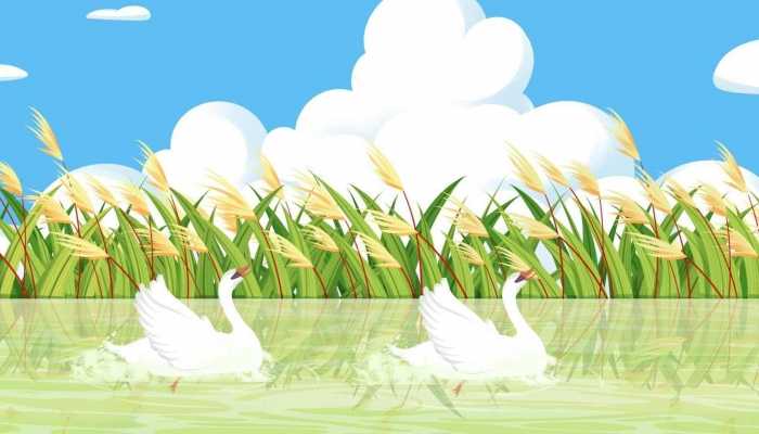 独一无二的抖音名 一眼就吸引人的抖音名字