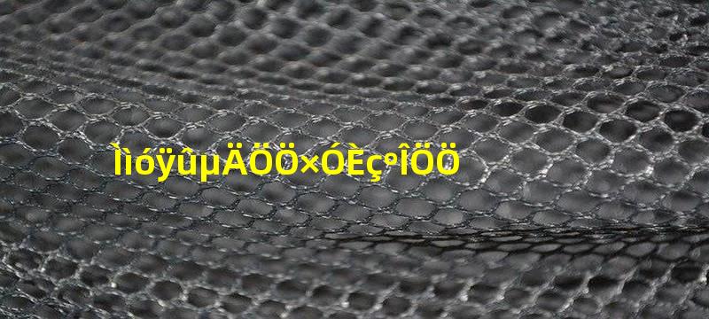 天竺葵的种子如何种