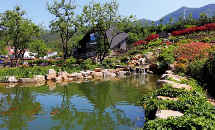 收好这份约请函!环目皆翠,只等你来 收好这份约请函!环目皆翠,只等你来