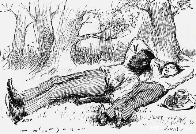 哈克贝利费恩历险记人物分析 哈克贝利费恩历险记人物分析