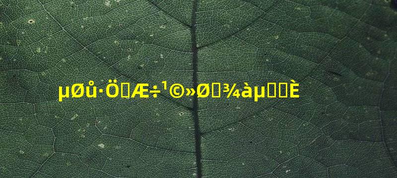 地暖分水器供回水距地高度