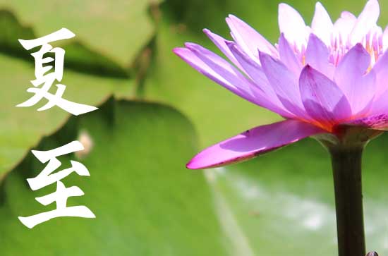 2023年夏至过了是不是开始凉快了 夏至过了天气有哪些变化