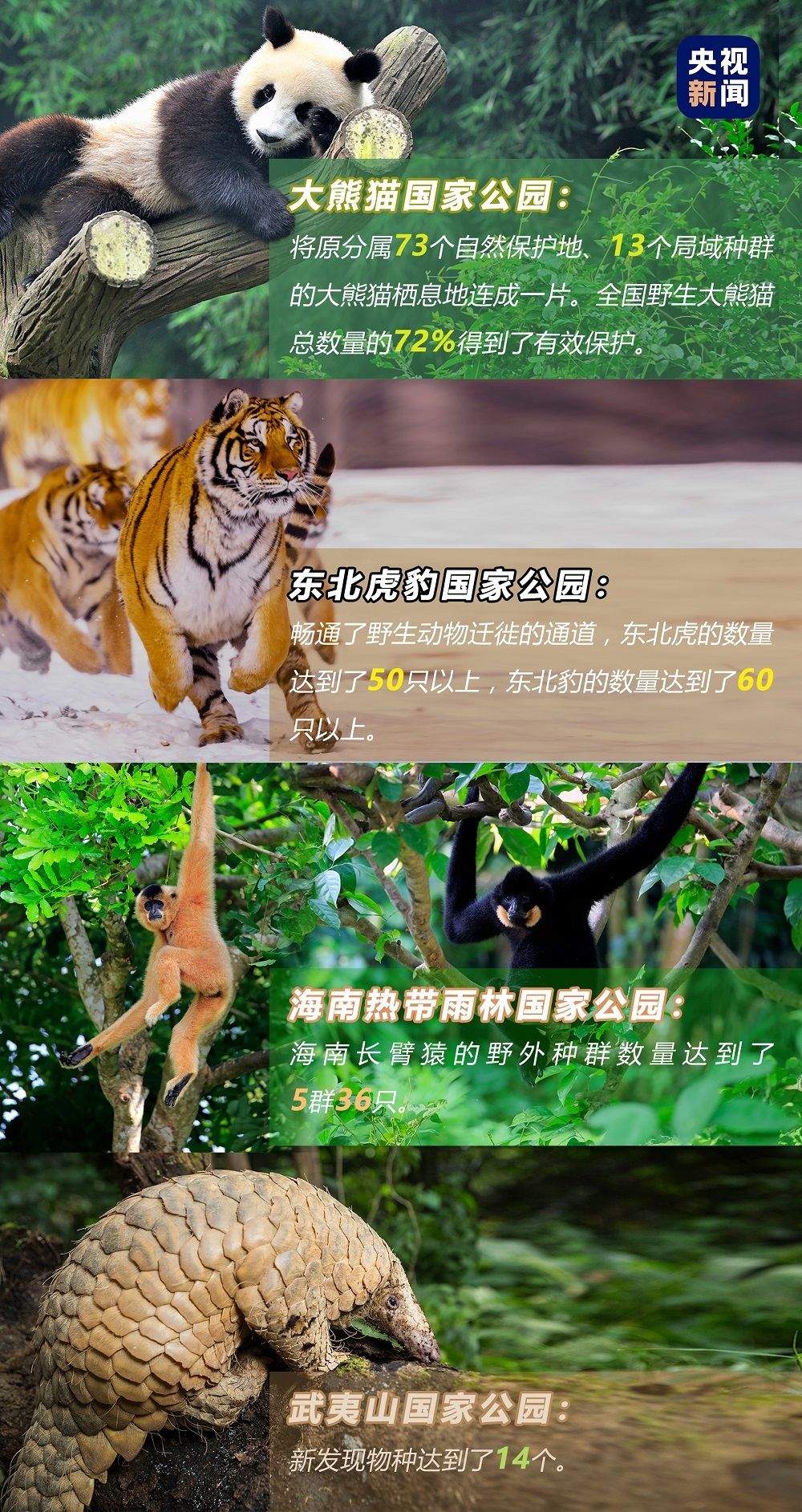 世界地球日 建造美丽家乡咱们作了这些尽力→