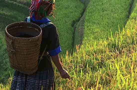 2023最火的五一祝福语140句