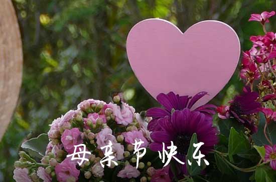 母亲节给老婆发多少红包比较好 母亲节给老婆送什么花 母亲节给老婆发多少红包比较好 母亲节给老婆送什么花