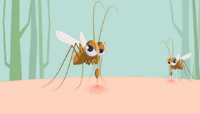 今年深圳首份“蚊子地图”出炉 中密度说明有一定登革热传播风险