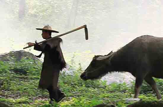 五一打算去哪座城市打卡 五一这些冷门城市也不错 五一打算去哪座城市打卡 五一这些冷门城市也不错