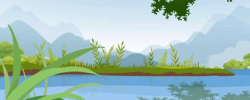 象征好运的昵称 寓意好运的网名