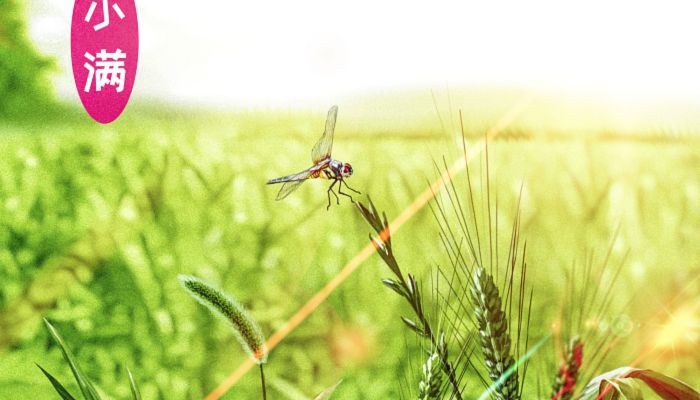 2023小满是农历几月 2023年小满在农历四月初三