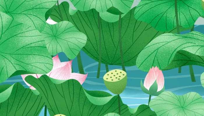 寓意好的抖音名 有内涵且寓意佳的抖音名字