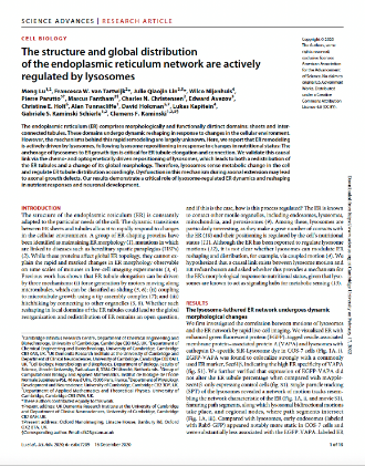 2020年的研讨效果宣布于世界闻名期刊《Science Advances》