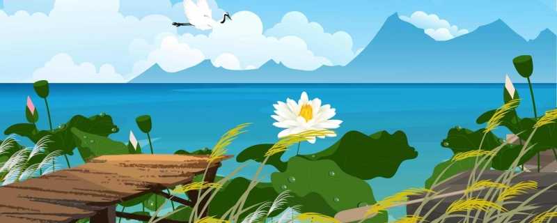 抖音罕见又好听的长网名15字 抖音长网名好听又独特