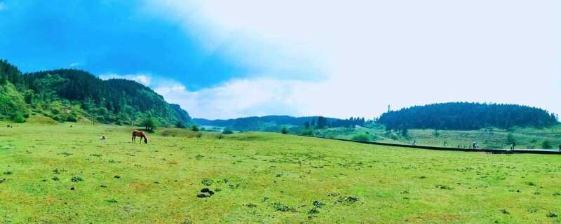 最美抖音网名女 抖音女网名唯美有气质