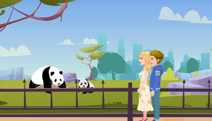 丫丫专机已降落上海 丫丫带着乐乐回家了