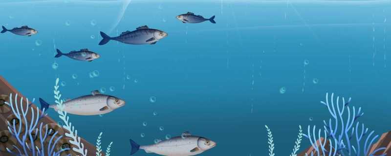 专家称五一调休是动了脑筋的做法 调休类话题引发网友讨论