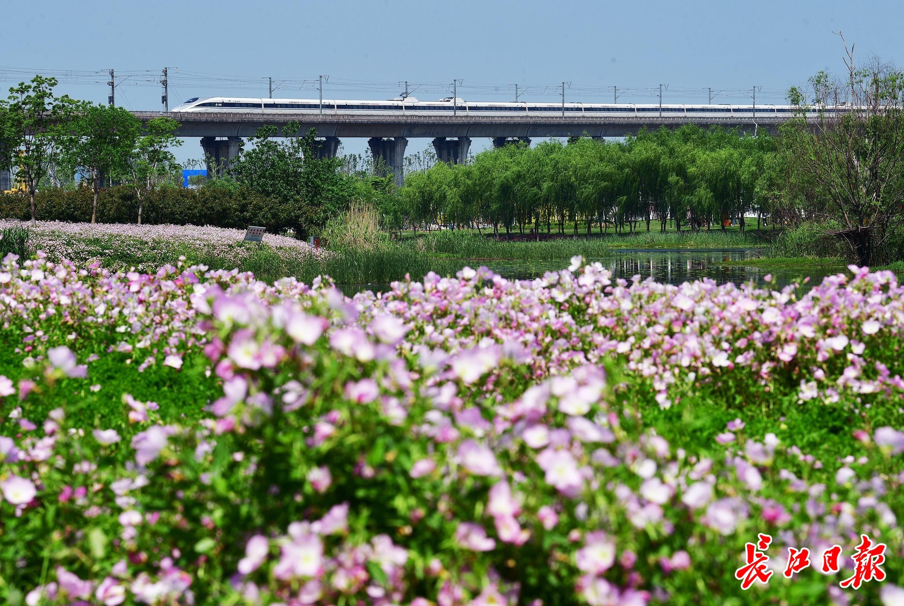 今日大武汉｜①明日136家国企组团招聘②撮虾子节开幕③国家疾控局谈近期疫情