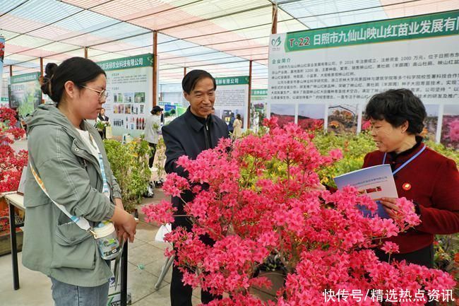 “南花”“北木”相会泰山 “花木经济”成“绿色银行” “南花”“北木”相会泰山 “花木经济”成“绿色银行”