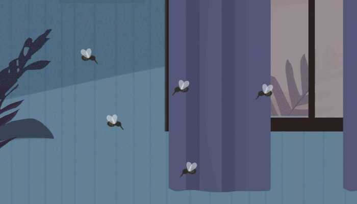 全国五一自驾游驱蚊天气地图出炉 出游如何防蚊虫