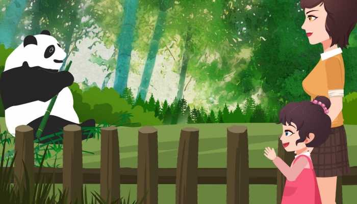 丫丫启程回国预计今下午抵达上海 丫丫回国后我们可以看吗